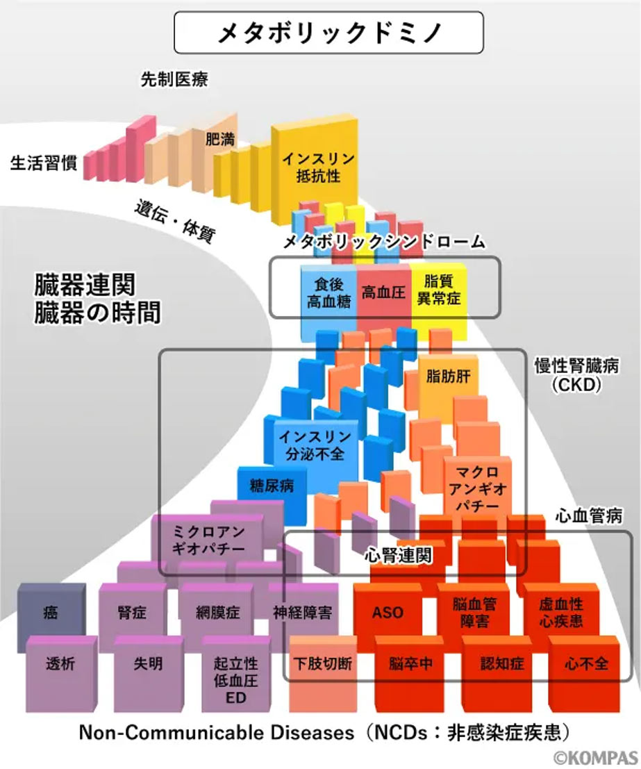 肥満外来